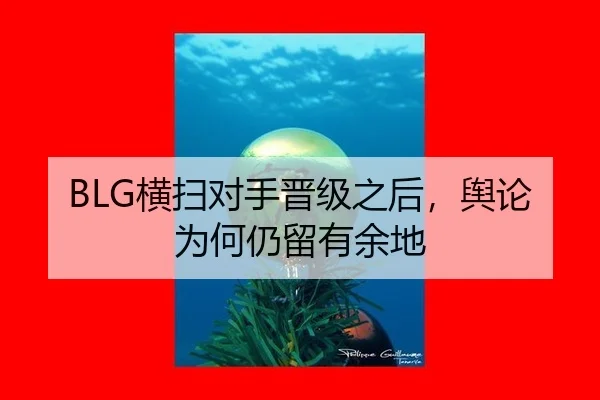 BLG横扫对手晋级之后，舆论为何仍留有余地