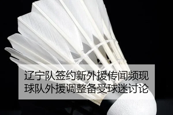 辽宁队签约新外援传闻频现 球队外援调整备受球迷讨论